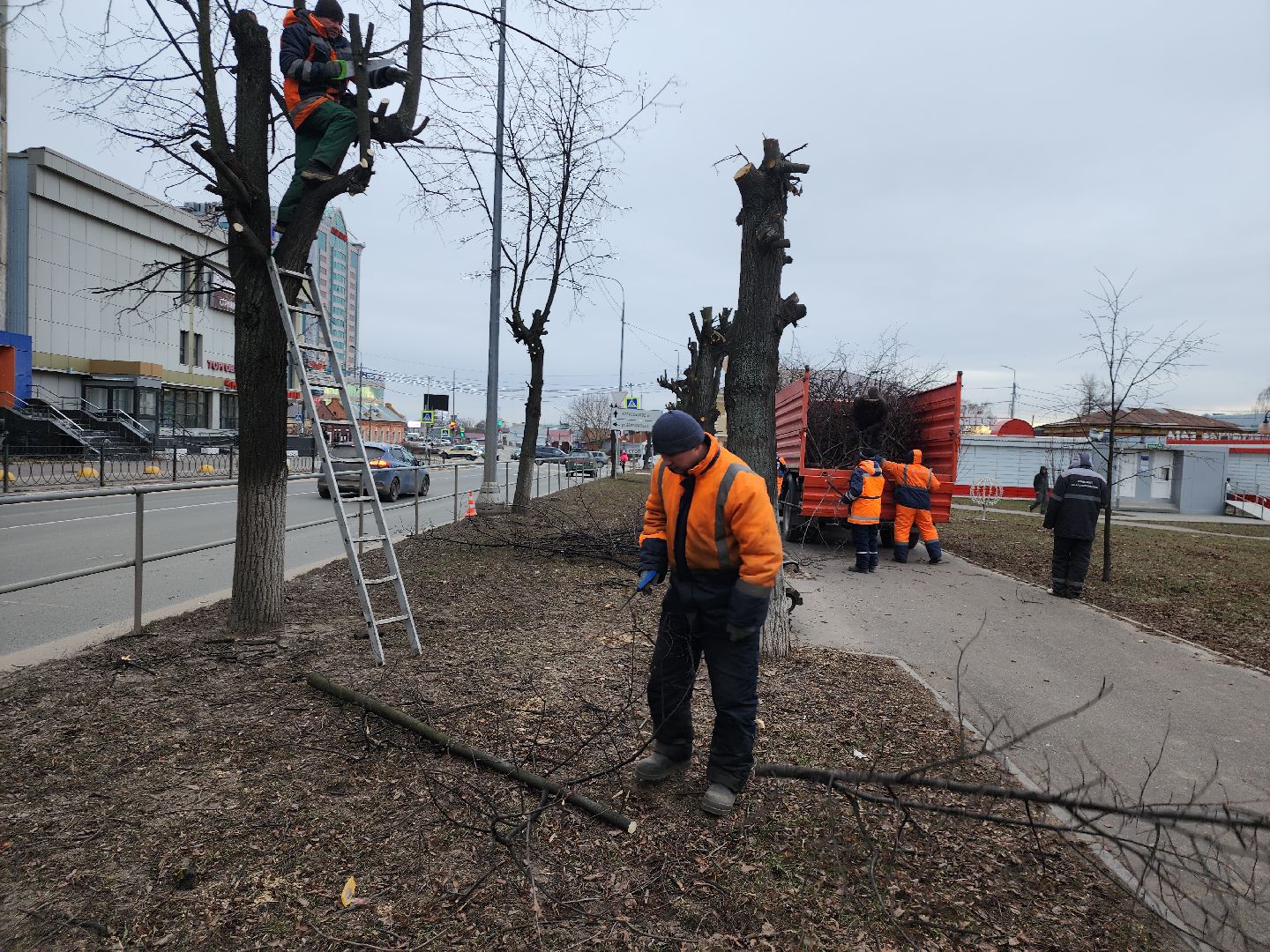 серпухов, подмосковье, кронирование,