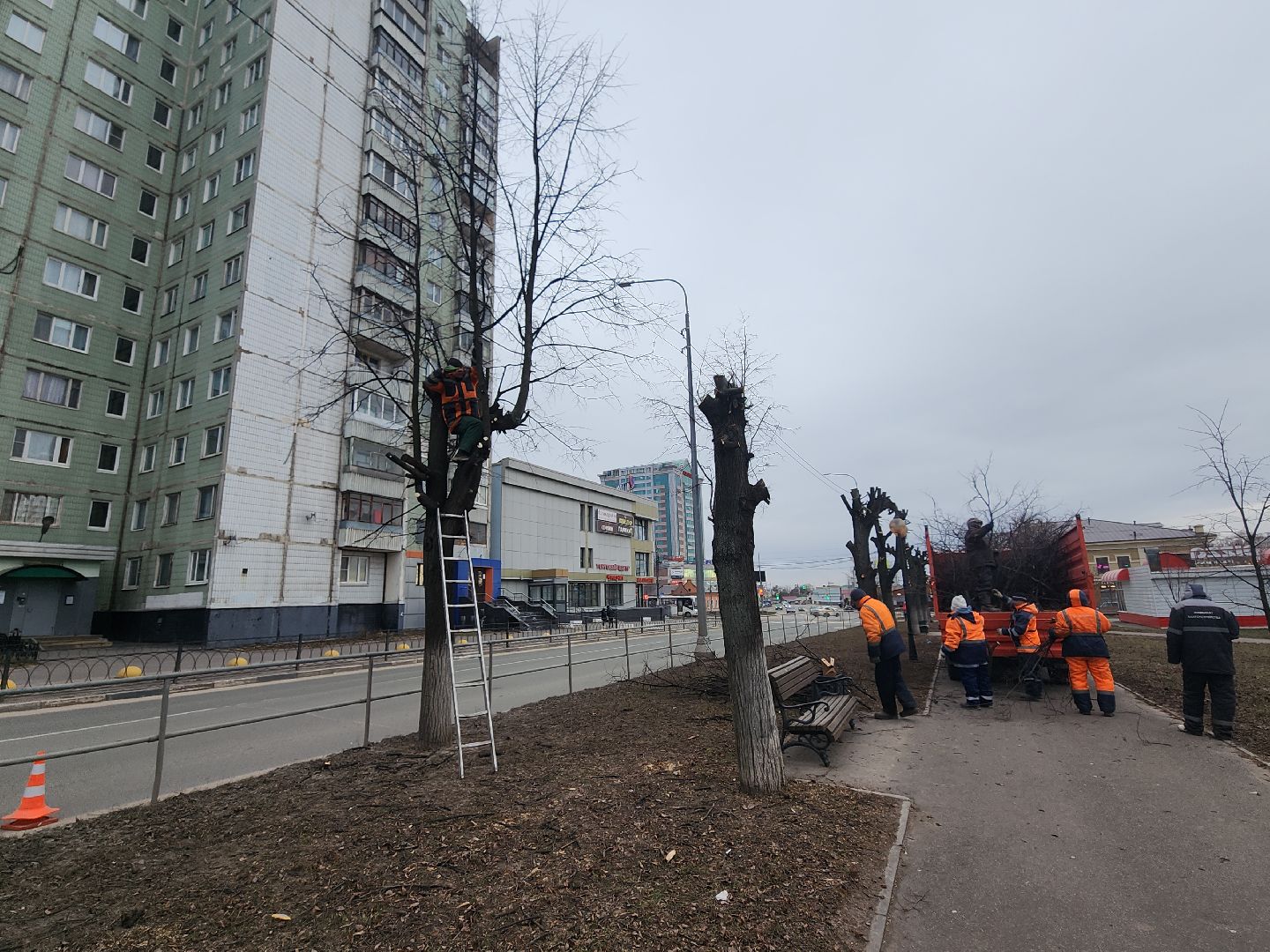 серпухов, подмосковье, кронирование,