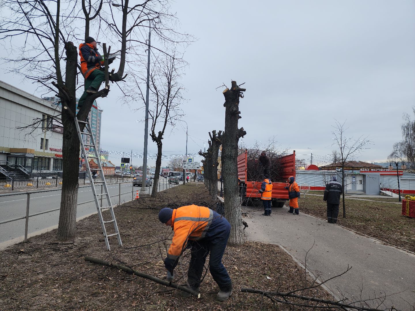 серпухов, подмосковье, кронирование,