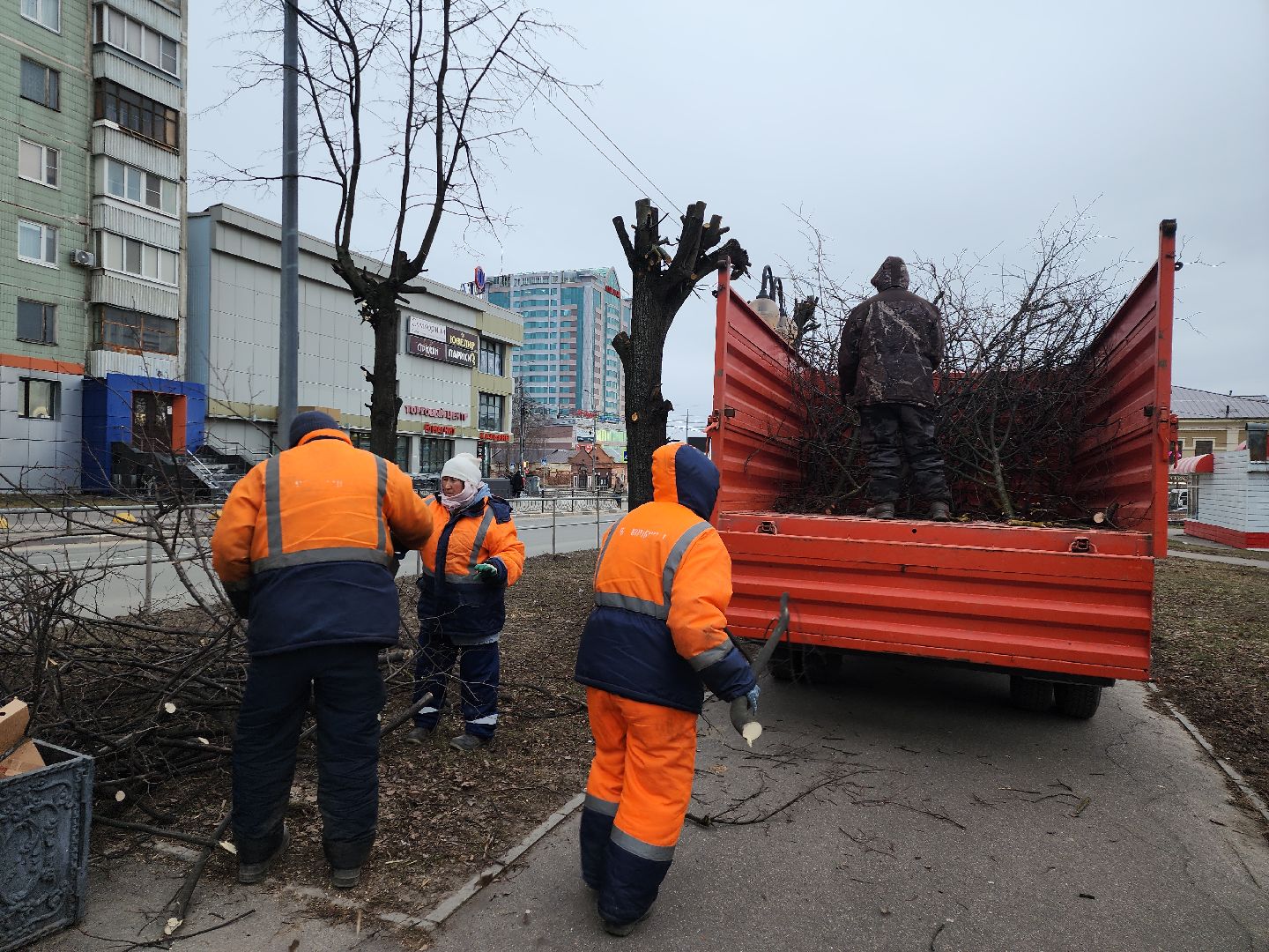 серпухов, подмосковье, кронирование,
