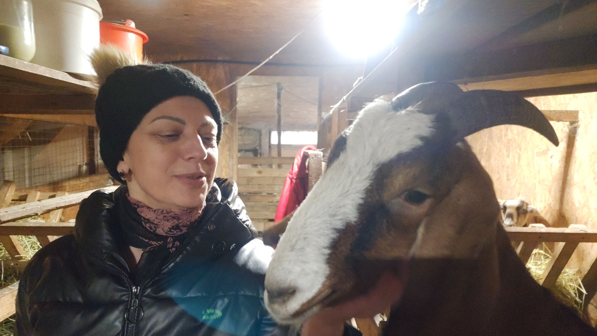 фермерство, подсобное хозяйство, козья ферма, волоколамск, кашино,