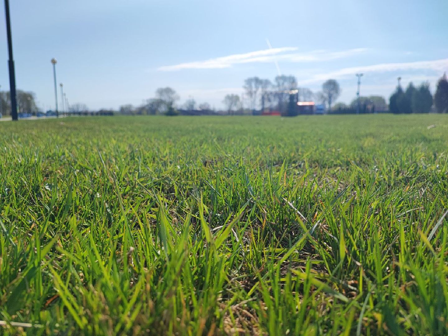 Серебряные Пруды, парк, клещи