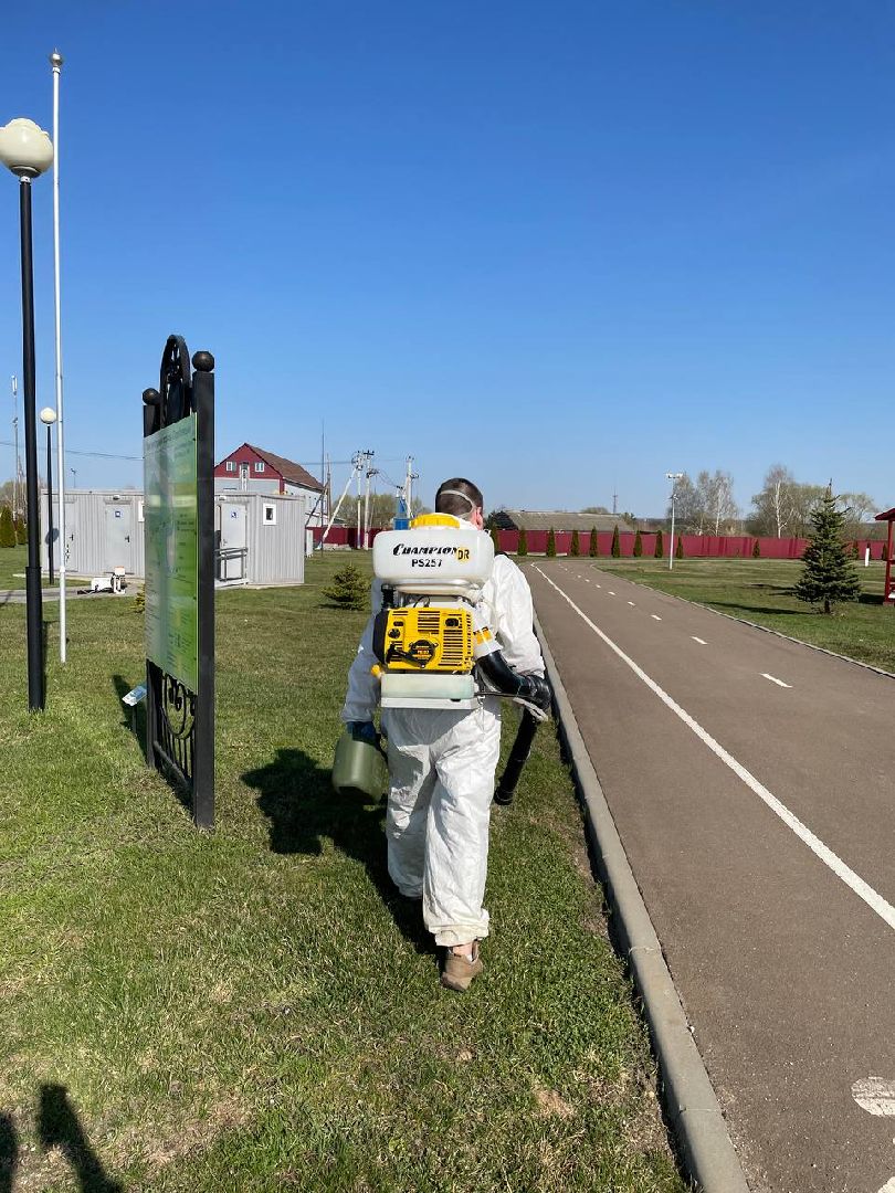 Серебряные Пруды, парк, клещи