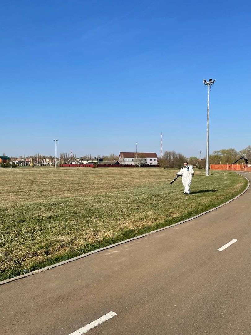 Серебряные Пруды, парк, клещи