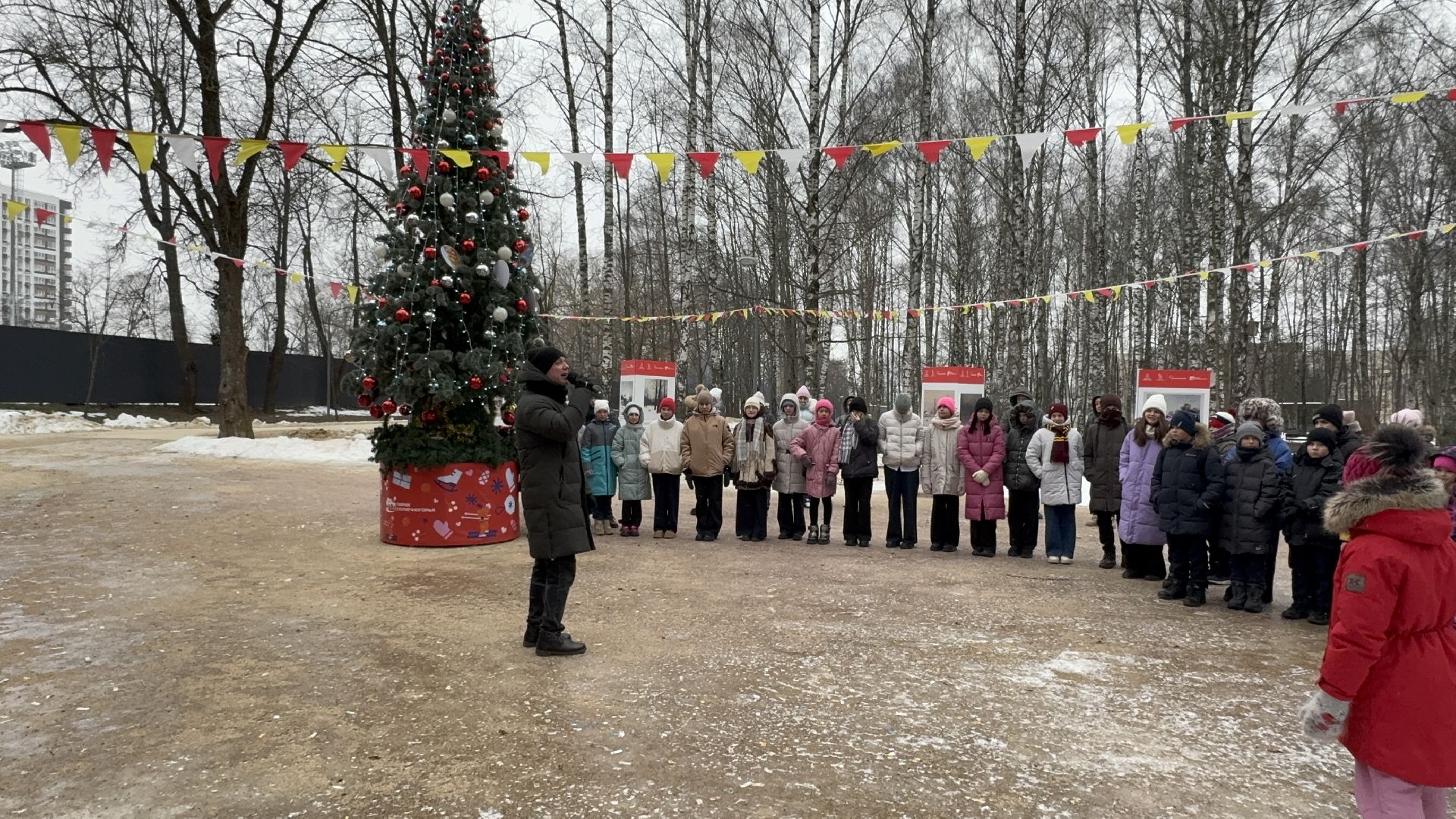 солнечногорск, освобождение московской области, жители, вертикалки,