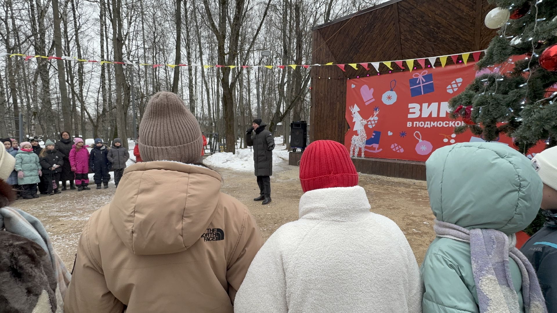 солнечногорск, освобождение московской области, жители, вертикалки,