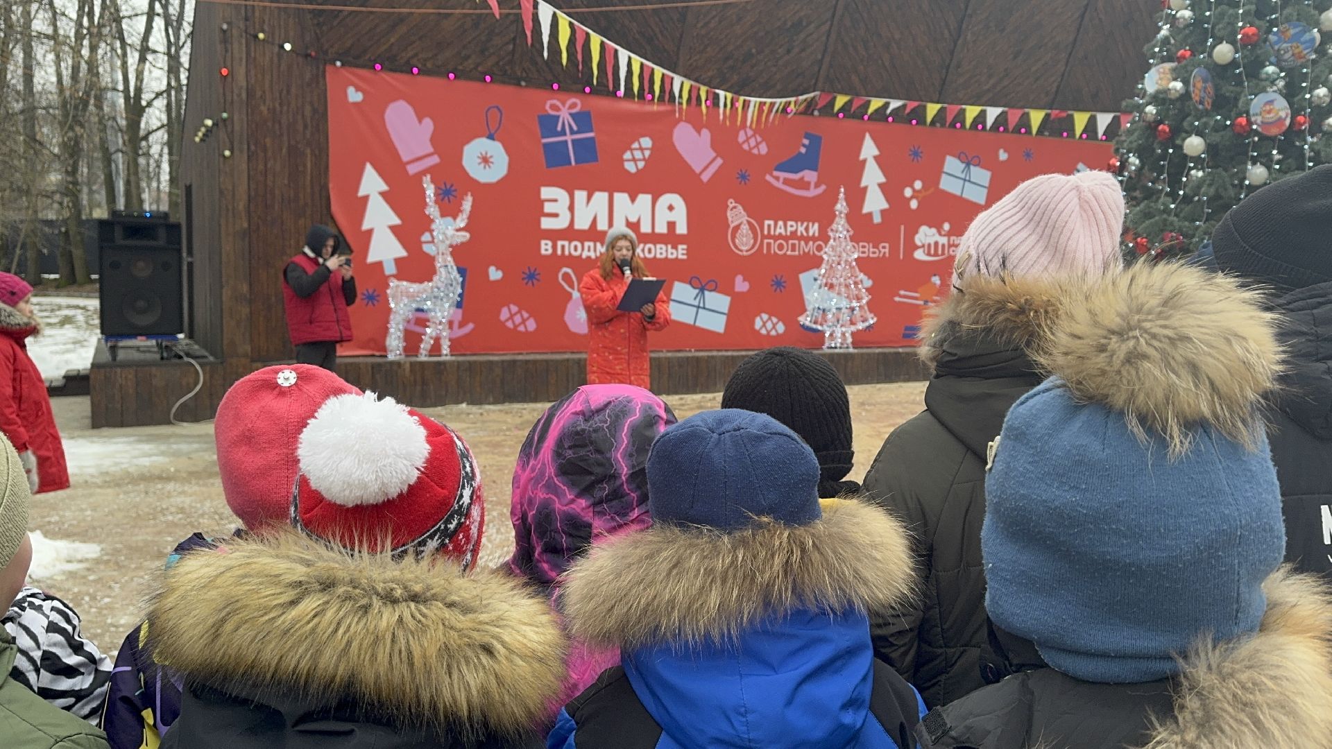 солнечногорск, освобождение московской области, жители, вертикалки,