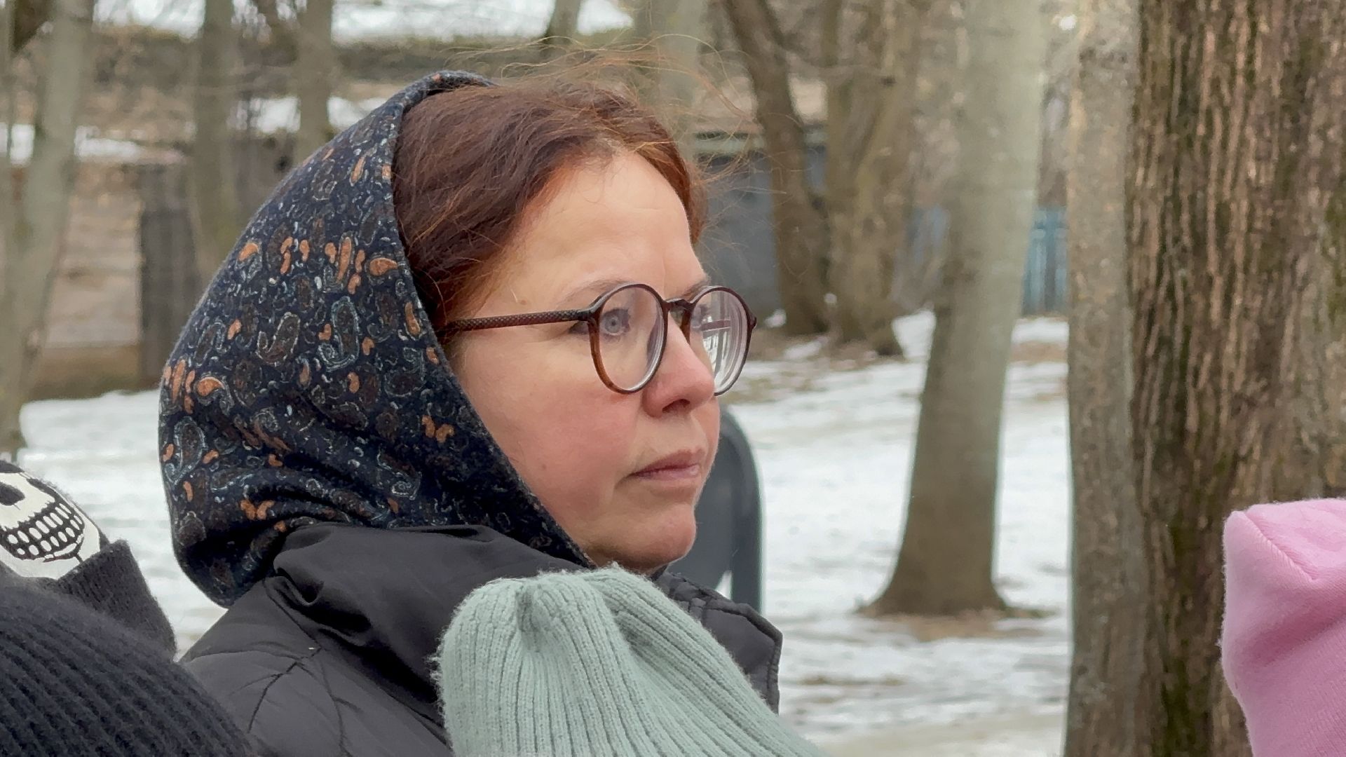 солнечногорск, освобождение московской области, жители, вертикалки,