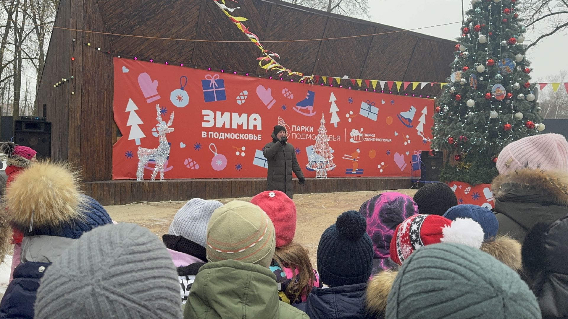 солнечногорск, освобождение московской области, жители, вертикалки,