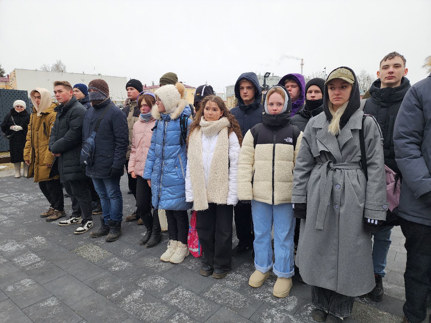 луховицы, общество, митинг памяти, вертикалки,