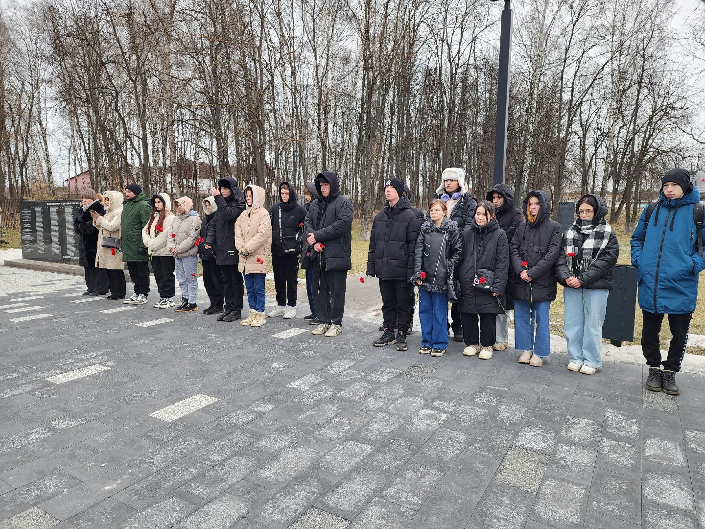 луховицы, общество, митинг памяти, вертикалки,