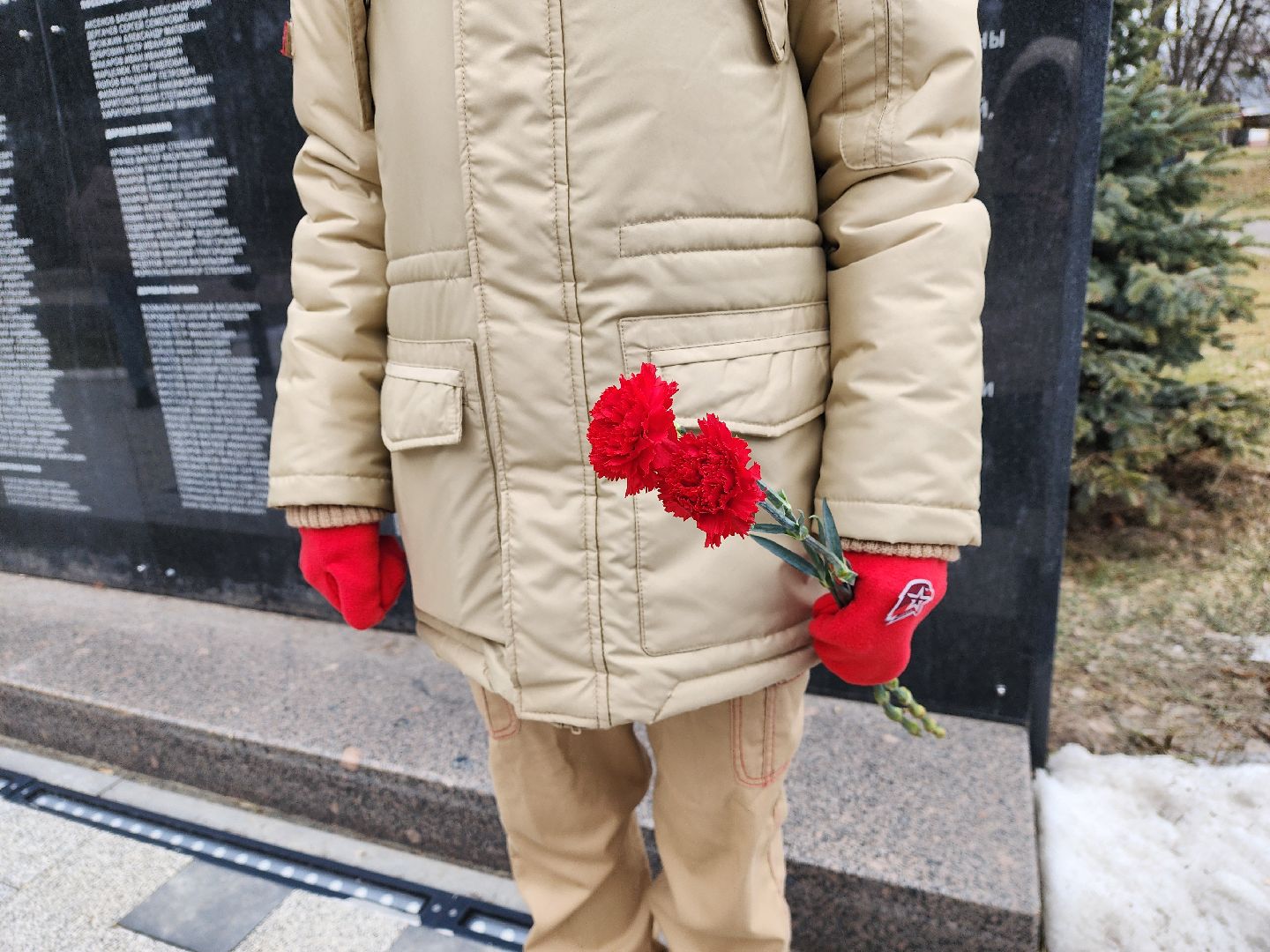 луховицы, общество, митинг памяти, вертикалки,