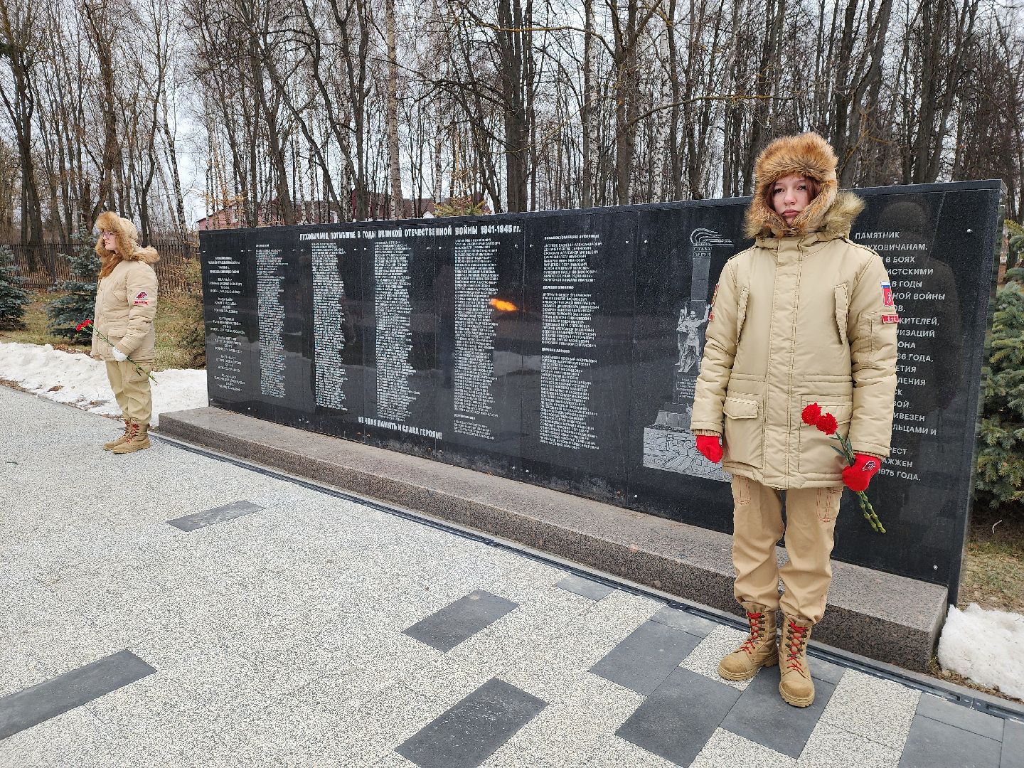 луховицы, общество, митинг памяти, вертикалки,
