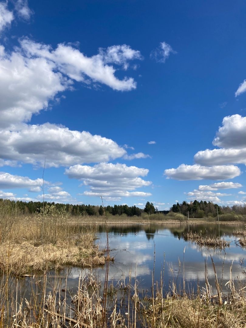Солнечногорск, Голубое, благоустройство, дворники, деревня