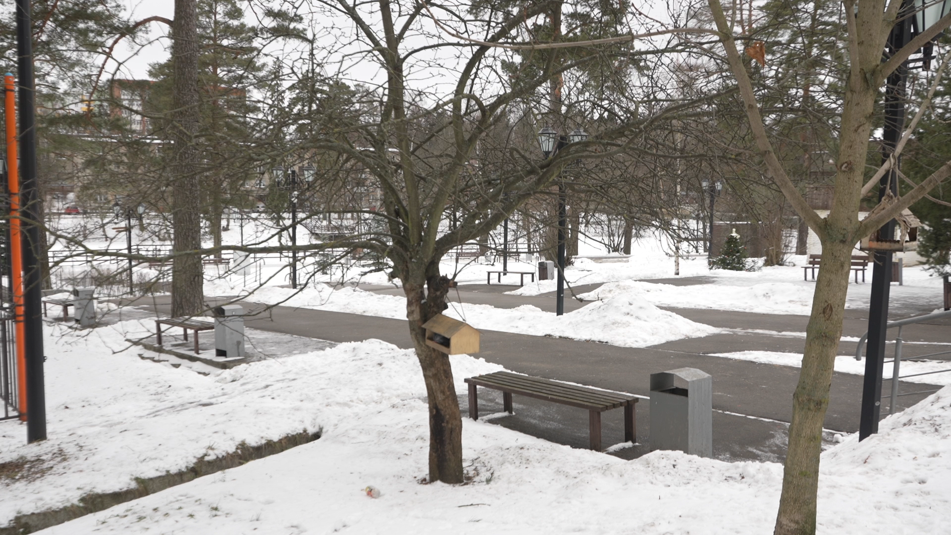 обращения жителей, Власиха обращения жителей, Добродел, обход территории, Власиха Цветной бульвар, вертикалки