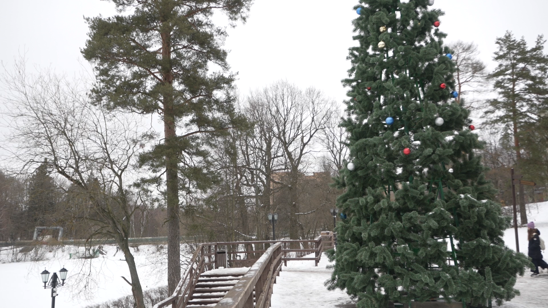 обращения жителей, Власиха обращения жителей, Добродел, обход территории, Власиха Цветной бульвар, вертикалки