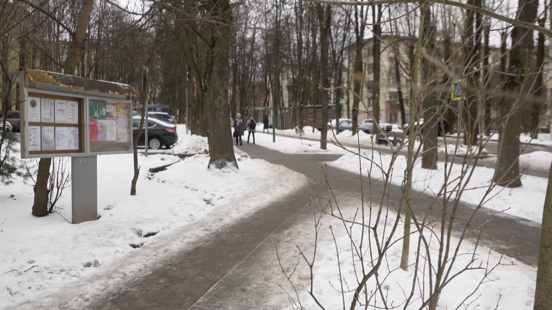 обращения жителей, Власиха обращения жителей, Добродел, обход территории, Власиха Цветной бульвар, вертикалки