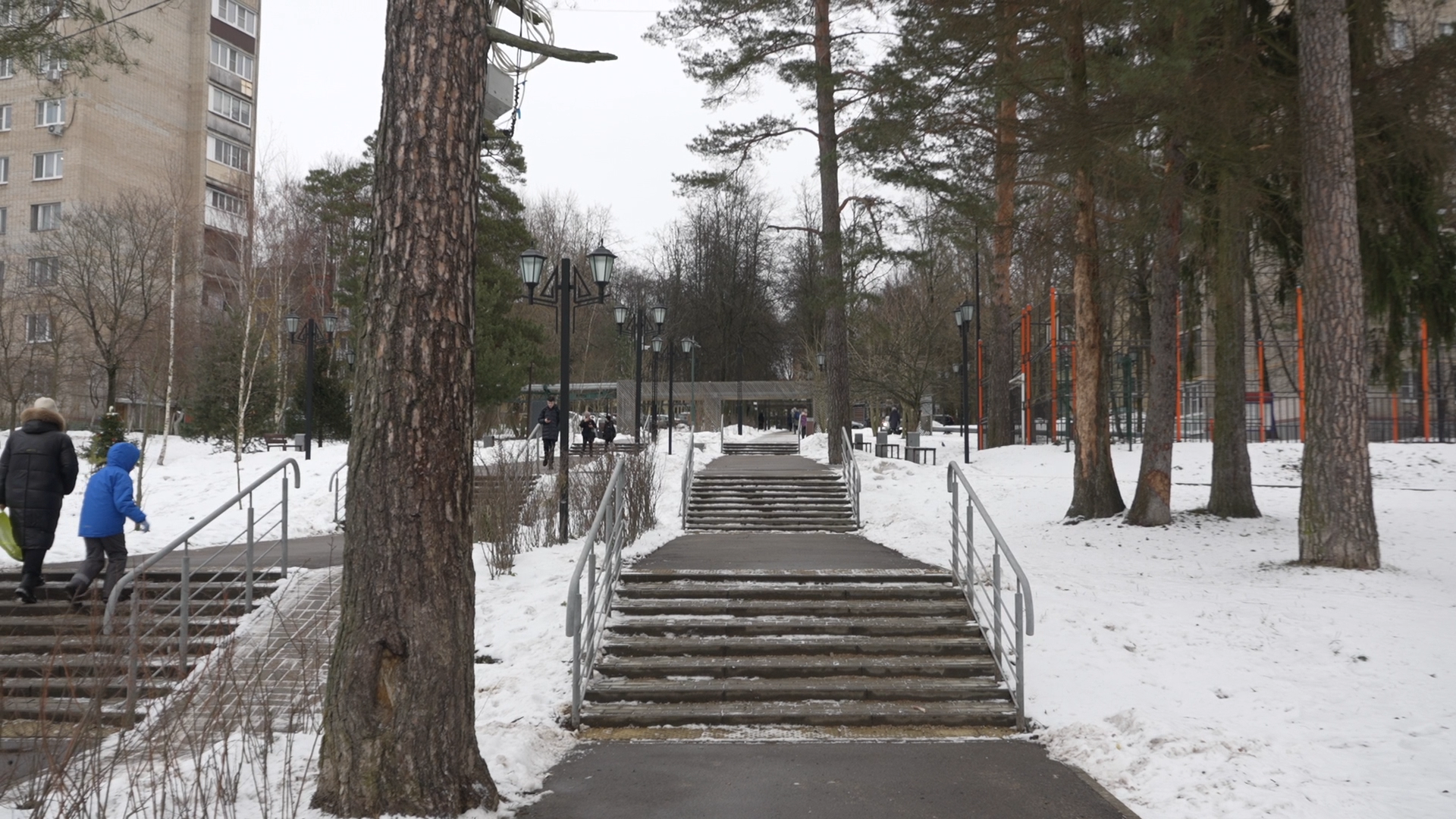 обращения жителей, Власиха обращения жителей, Добродел, обход территории, Власиха Цветной бульвар, вертикалки