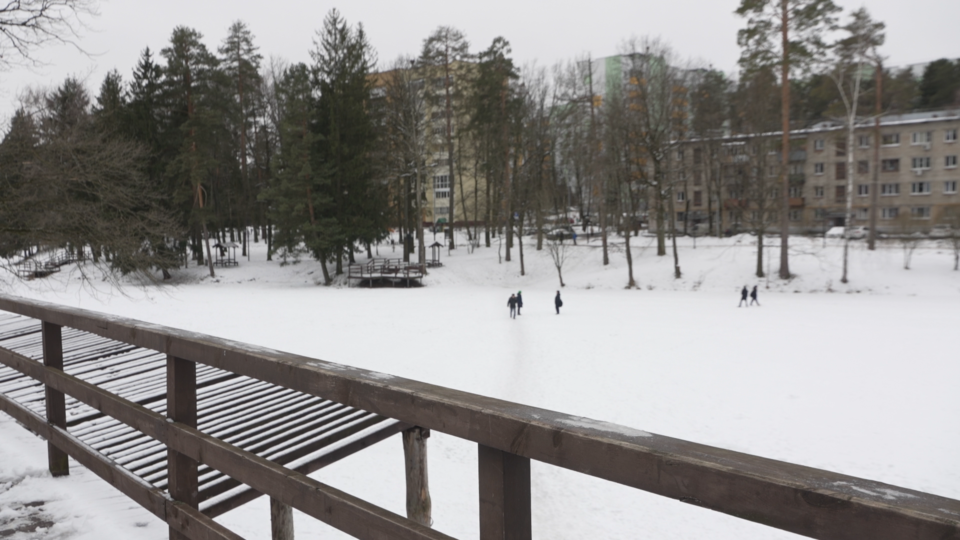 обращения жителей, Власиха обращения жителей, Добродел, обход территории, Власиха Цветной бульвар, вертикалки