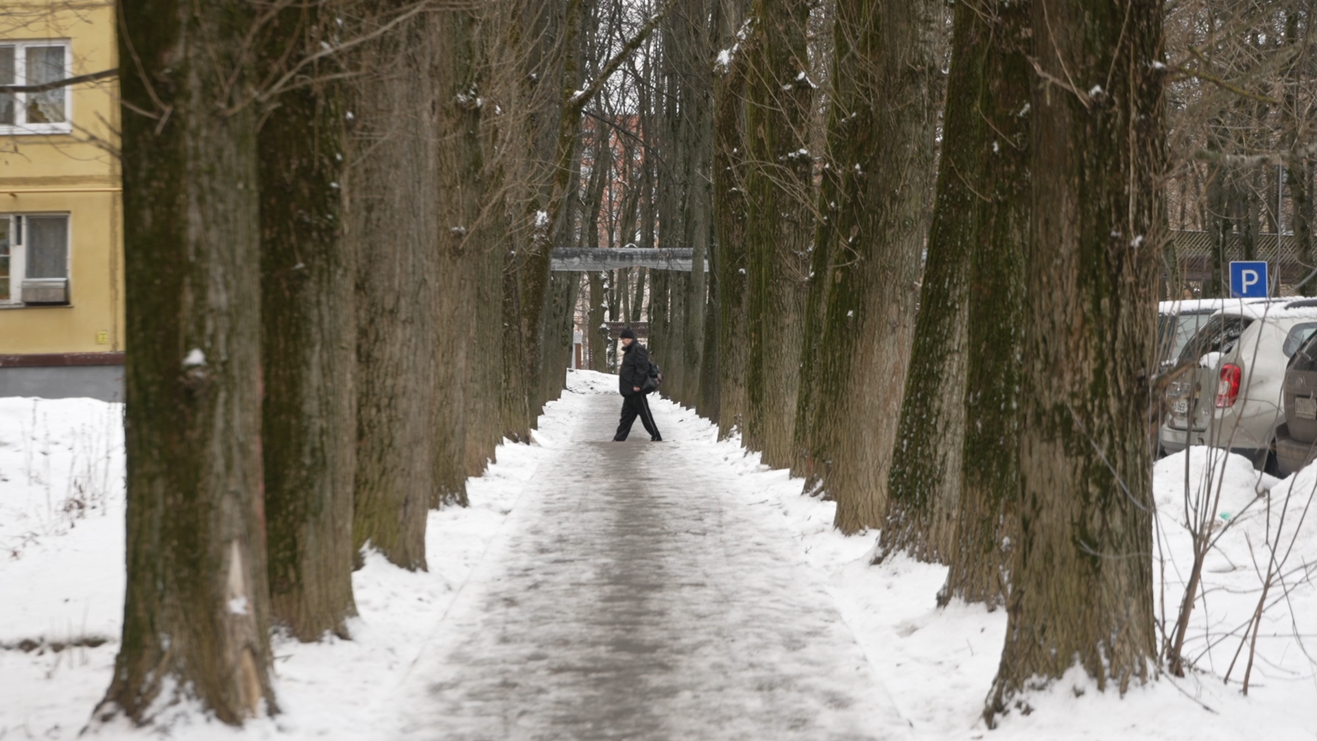 обращения жителей, Власиха обращения жителей, Добродел, обход территории, Власиха Цветной бульвар, вертикалки