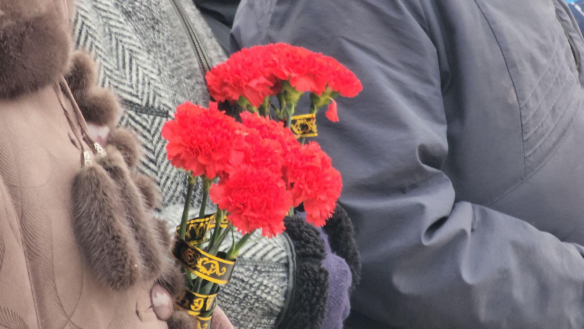 Павловский Посад, митинг, акция, ветераны, вертикалки