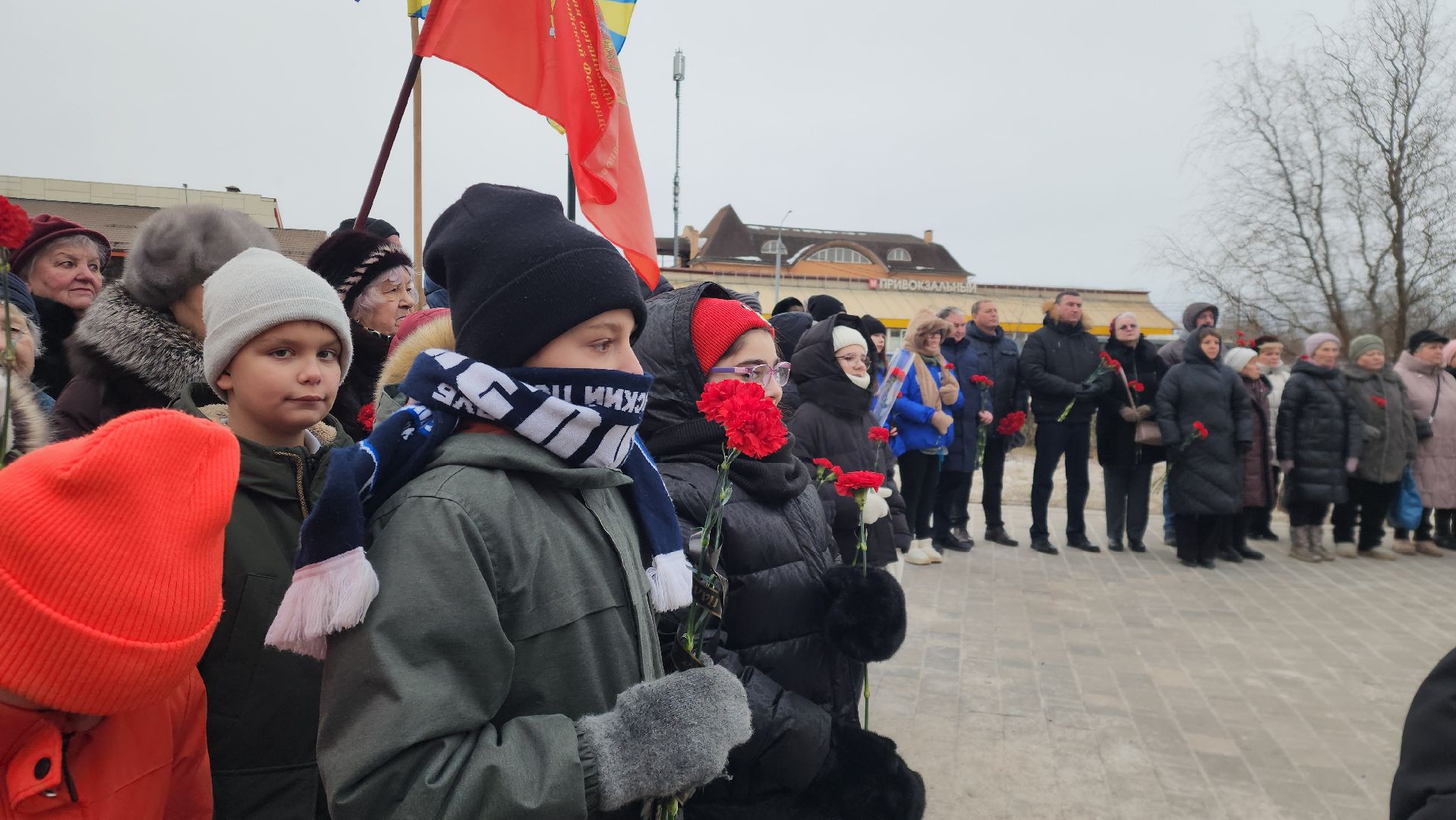 Павловский Посад, митинг, акция, ветераны, вертикалки