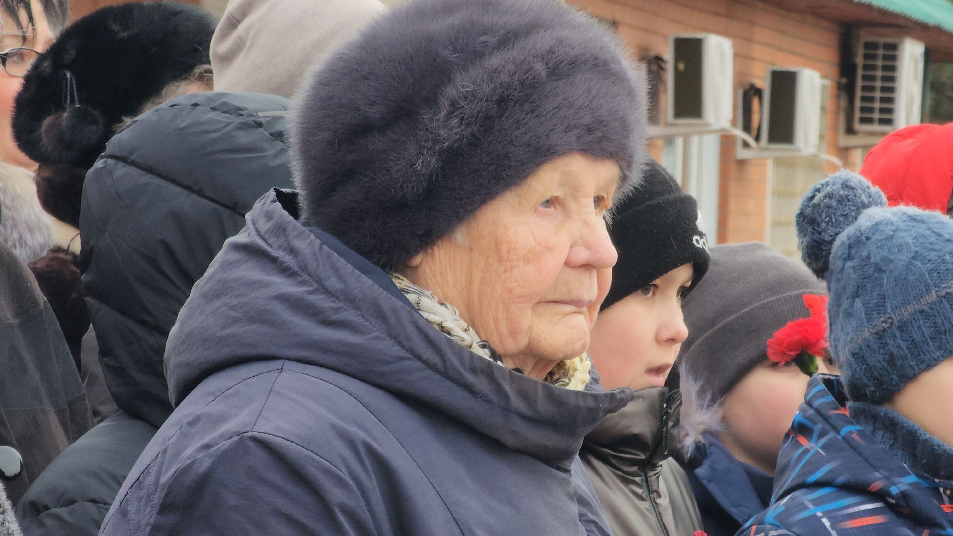 Павловский Посад, митинг, акция, ветераны, вертикалки