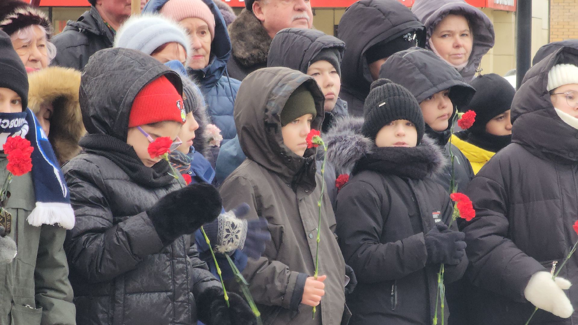 Павловский Посад, митинг, акция, ветераны, вертикалки