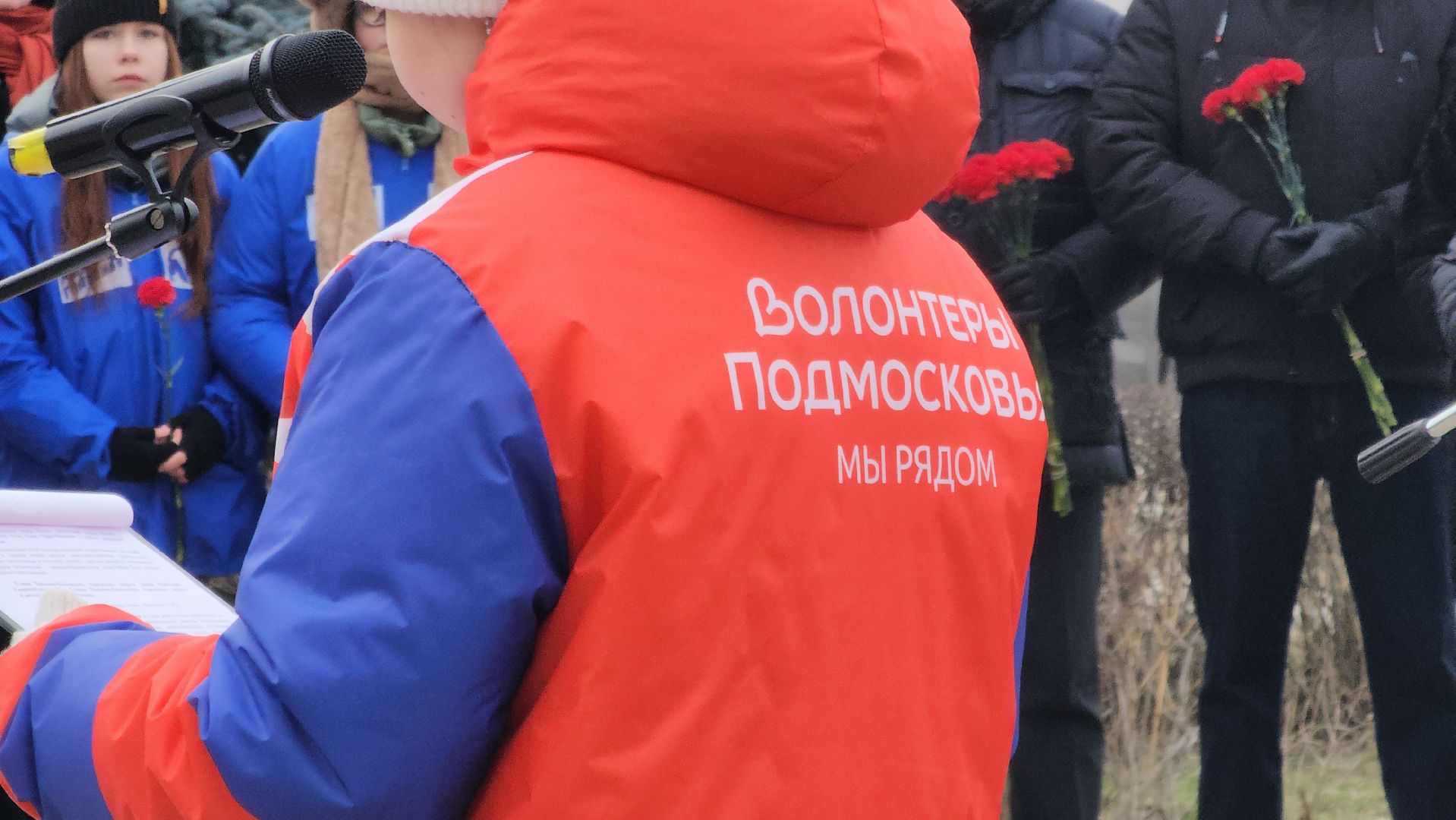 Павловский Посад, митинг, акция, ветераны, вертикалки