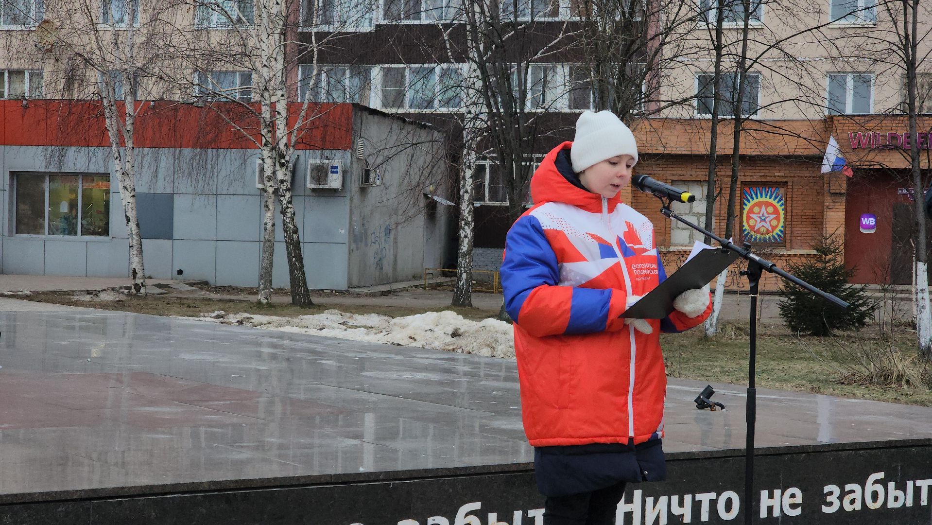 Павловский Посад, митинг, акция, ветераны, вертикалки