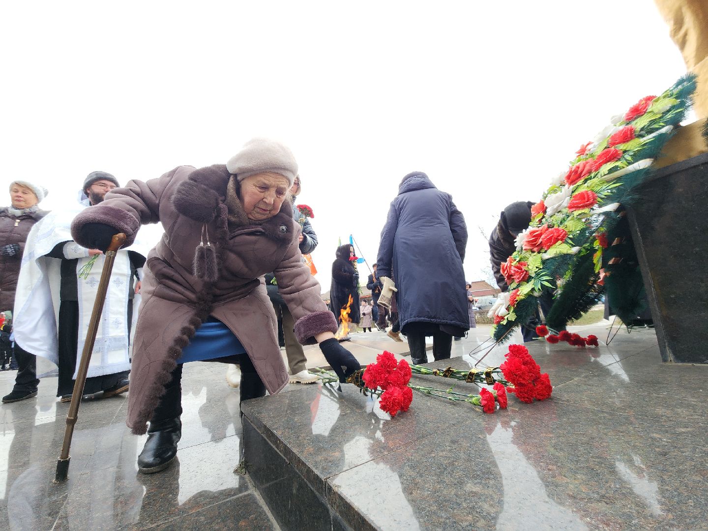 Павловский Посад, митинг, акция, ветераны, вертикалки