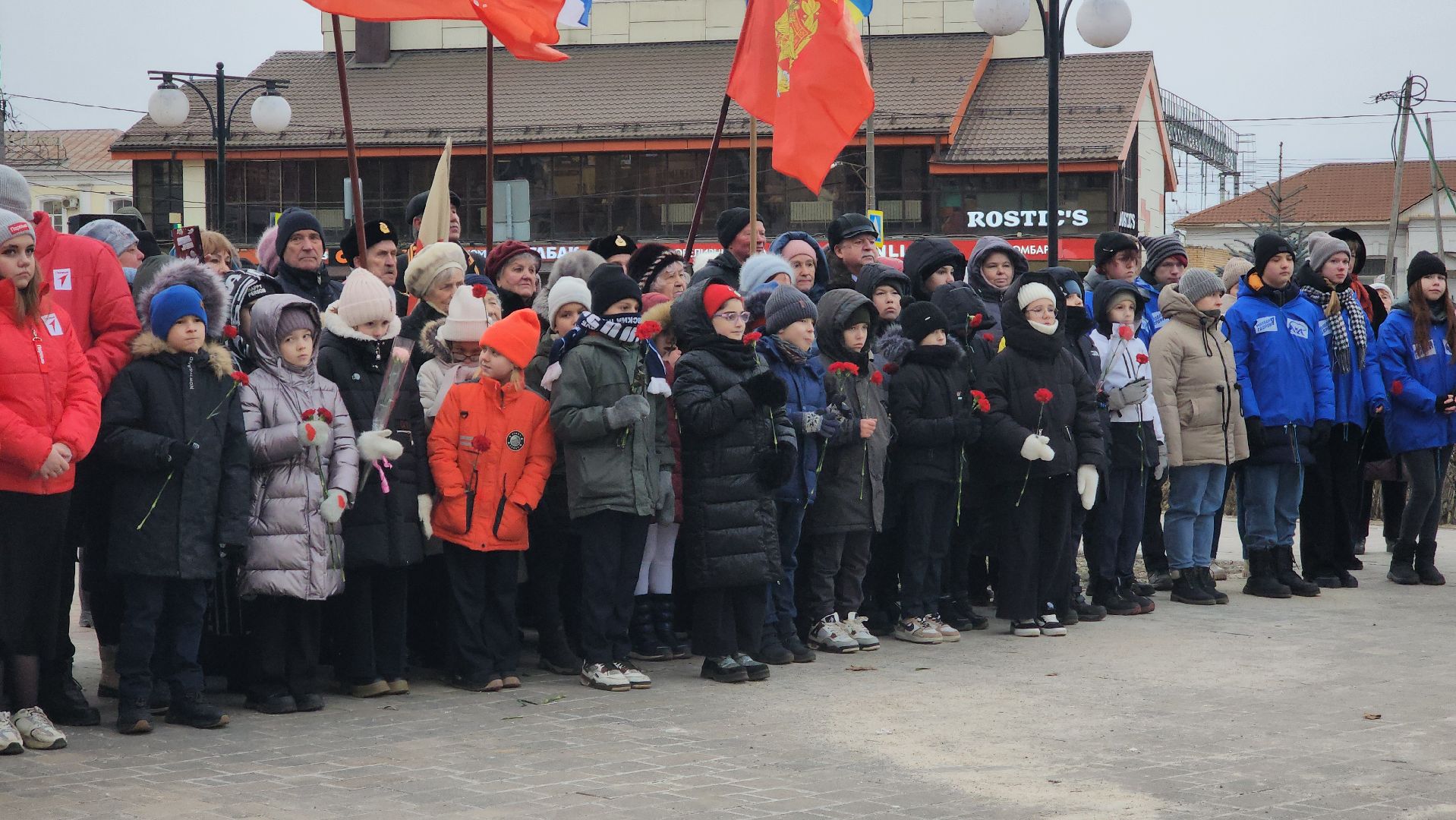 Павловский Посад, митинг, акция, ветераны, вертикалки