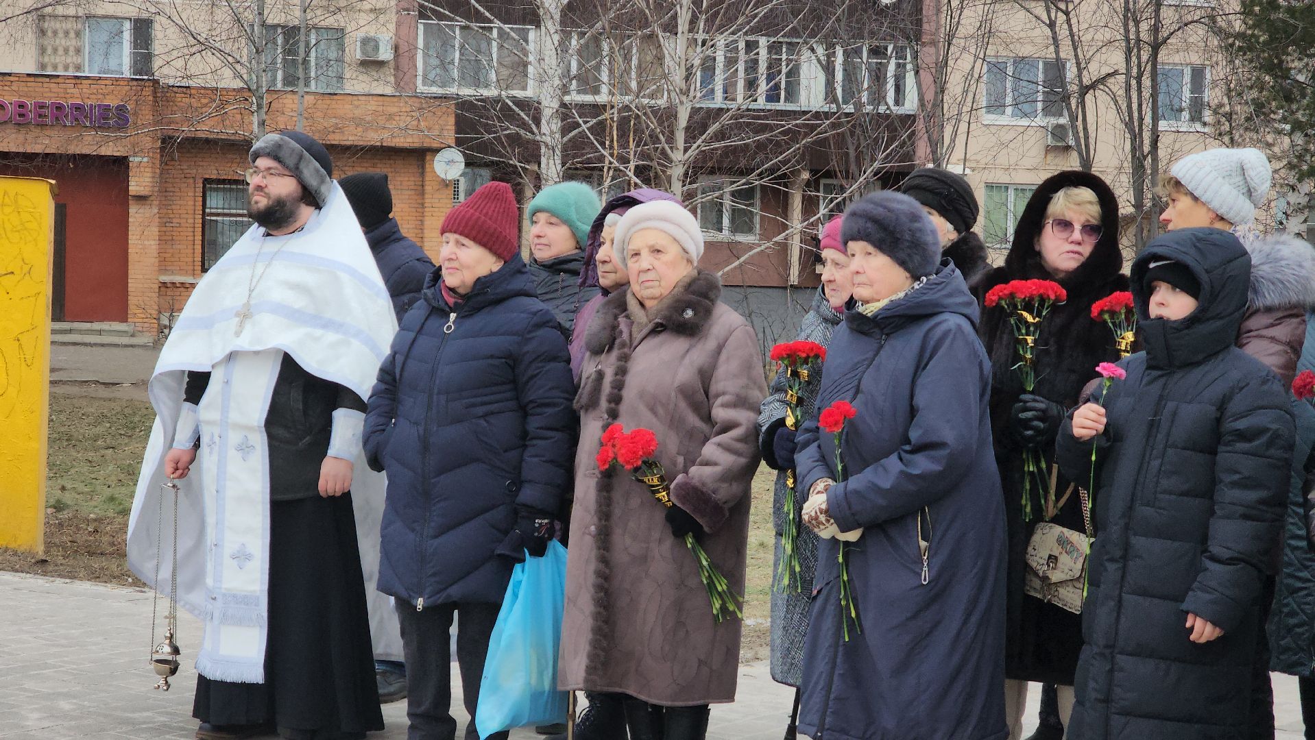 Павловский Посад, митинг, акция, ветераны, вертикалки