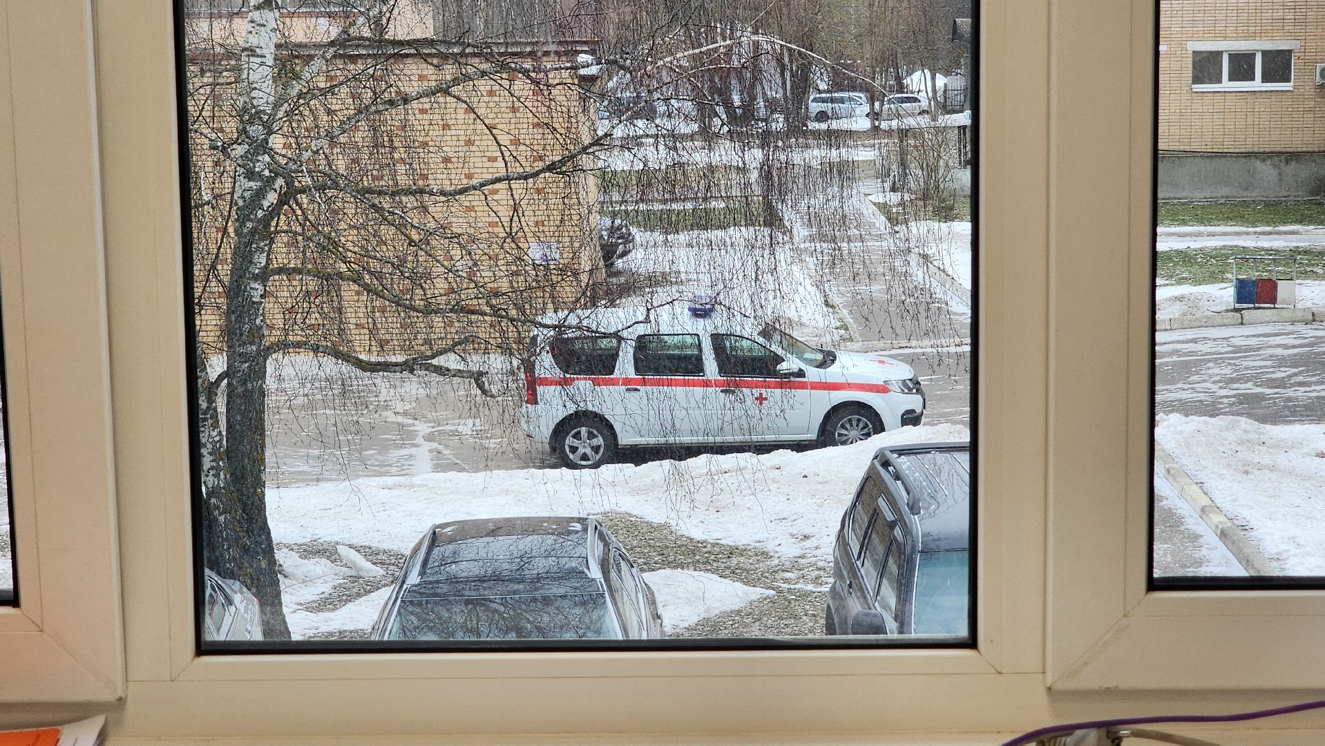 солнечногорск, медицина, центральная поликлиника, терапия, новые кадры,