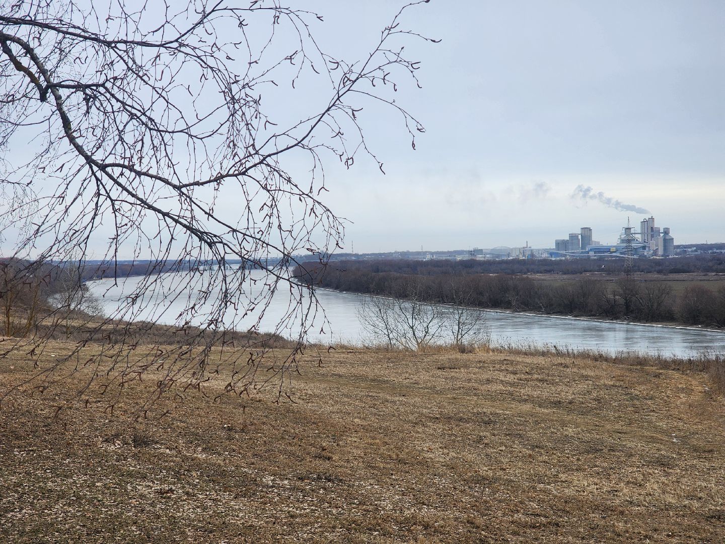 Коломна, благоустройство, парк,