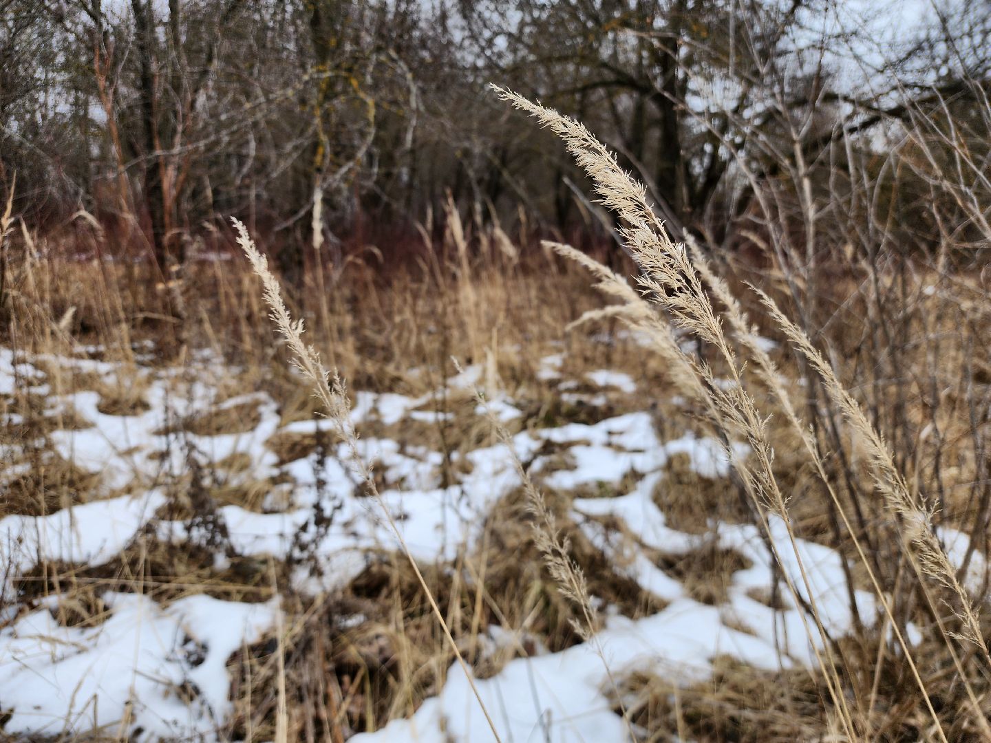 Коломна, благоустройство, парк,