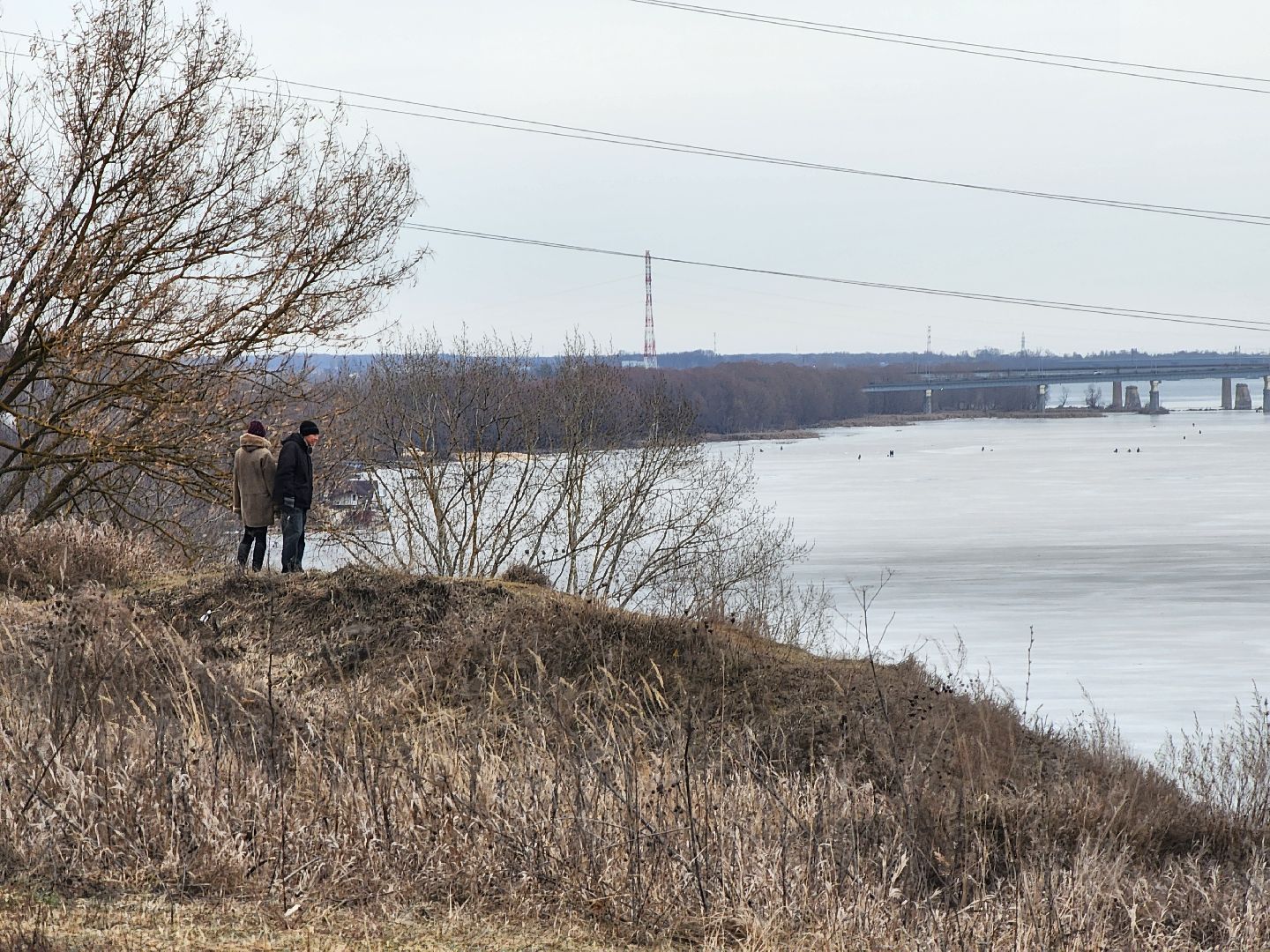 Коломна, благоустройство, парк,