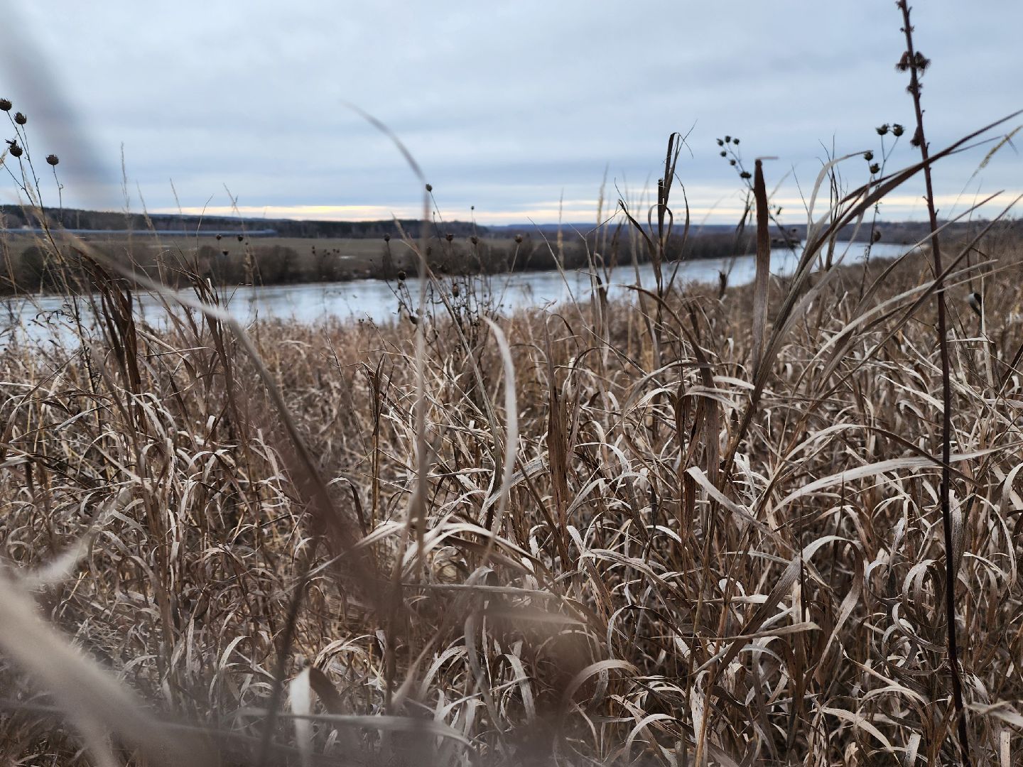 Коломна, благоустройство, парк,