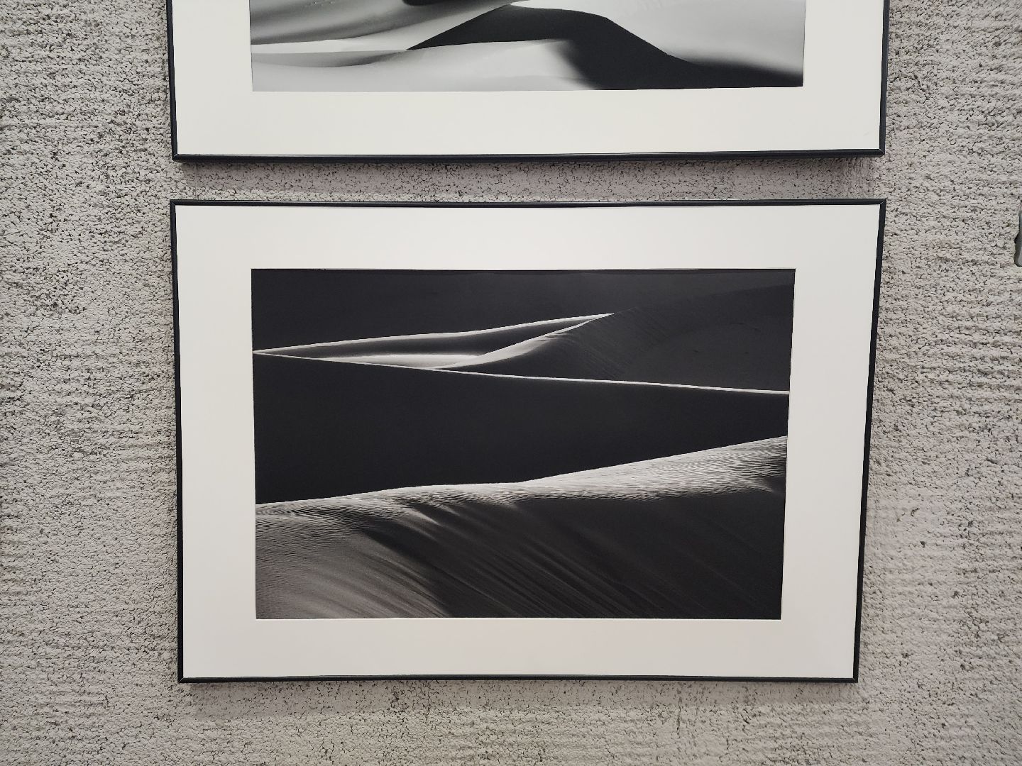 пущино, серпухов, дом ученых пущино, фотовыставка,