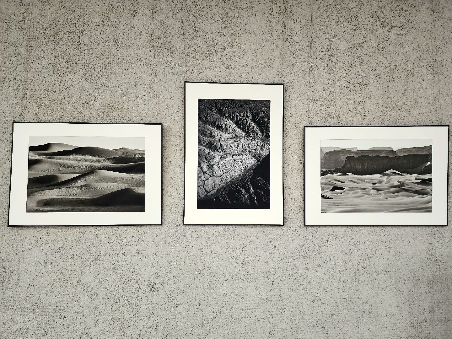 пущино, серпухов, дом ученых пущино, фотовыставка,