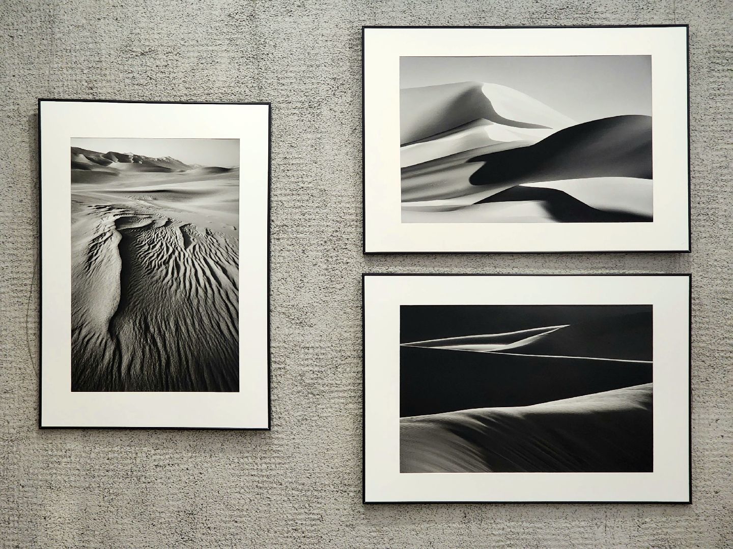 пущино, серпухов, дом ученых пущино, фотовыставка,