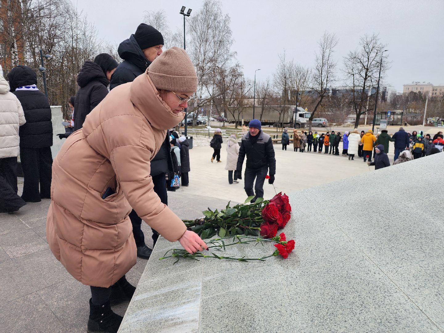 вов, митинг памяти, освобождение московской области, возложение цветов, фрязино,