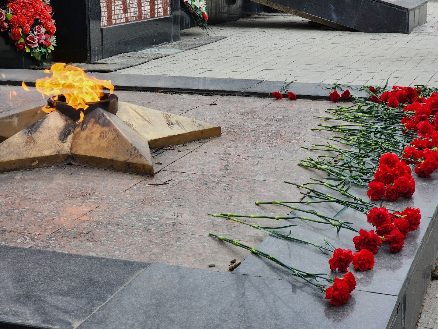 электросталь, память, общество, вечный огонь, патриотическая акция,