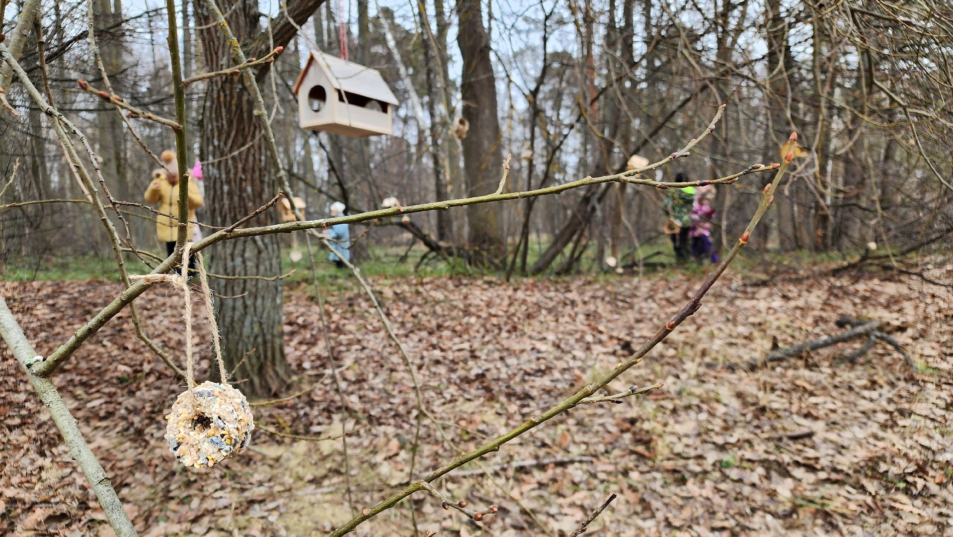 покорми птиц зимой, движение первых, орлята россии, гимназия протвино,
