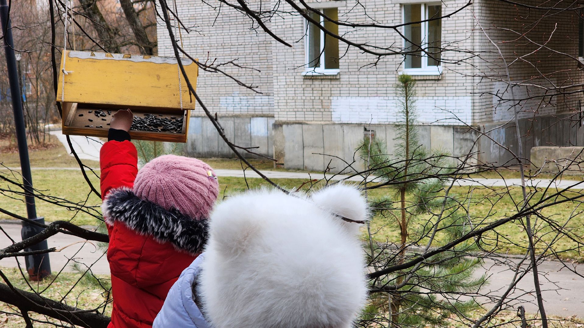 покорми птиц зимой, движение первых, орлята россии, гимназия протвино,