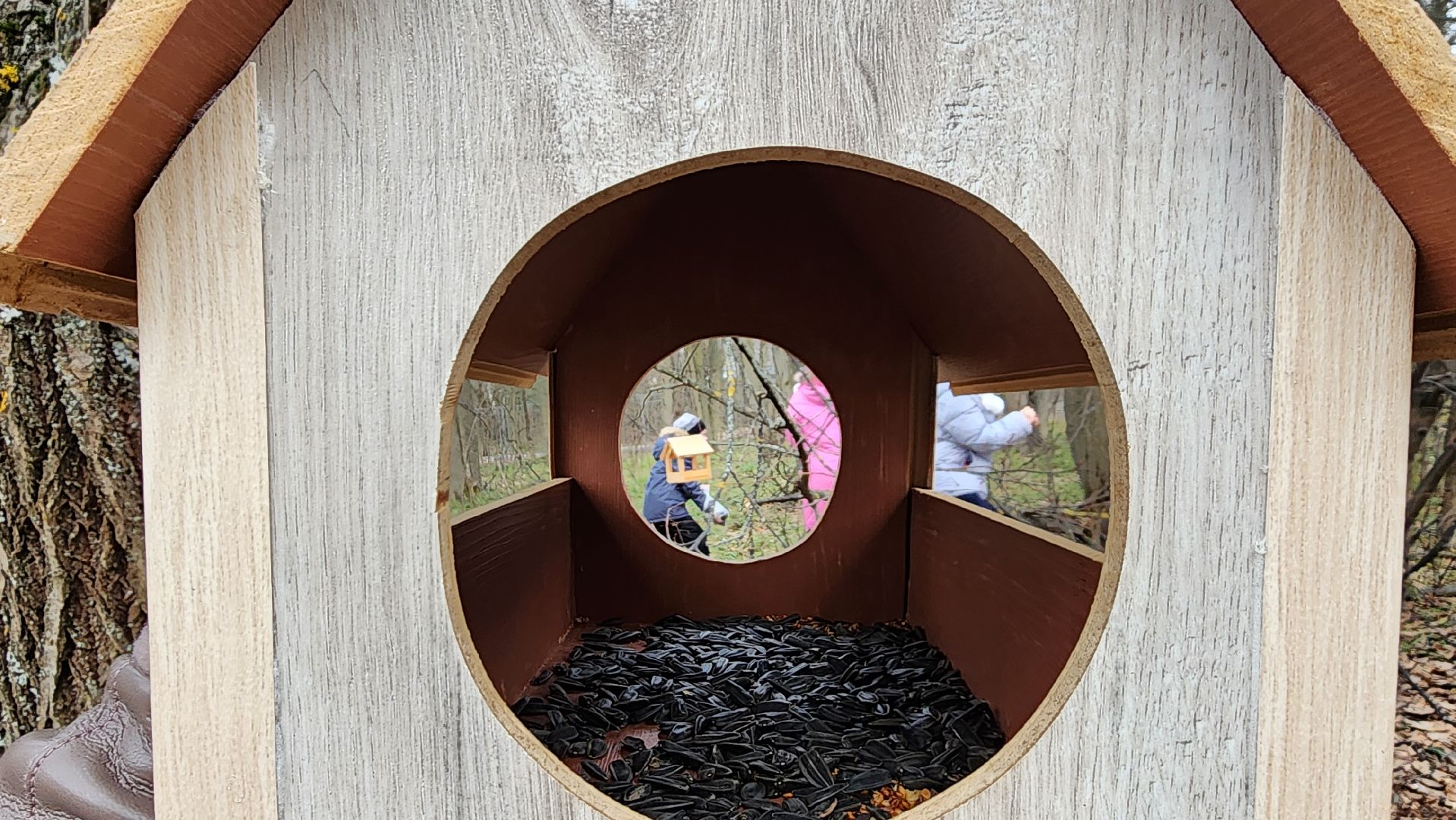 покорми птиц зимой, движение первых, орлята россии, гимназия протвино,