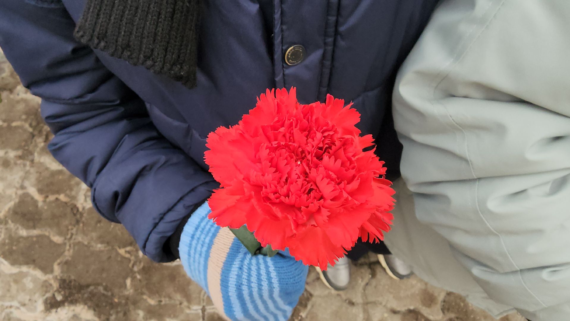 Егорьевск, Подмосковье, Московская область,вертикалки,