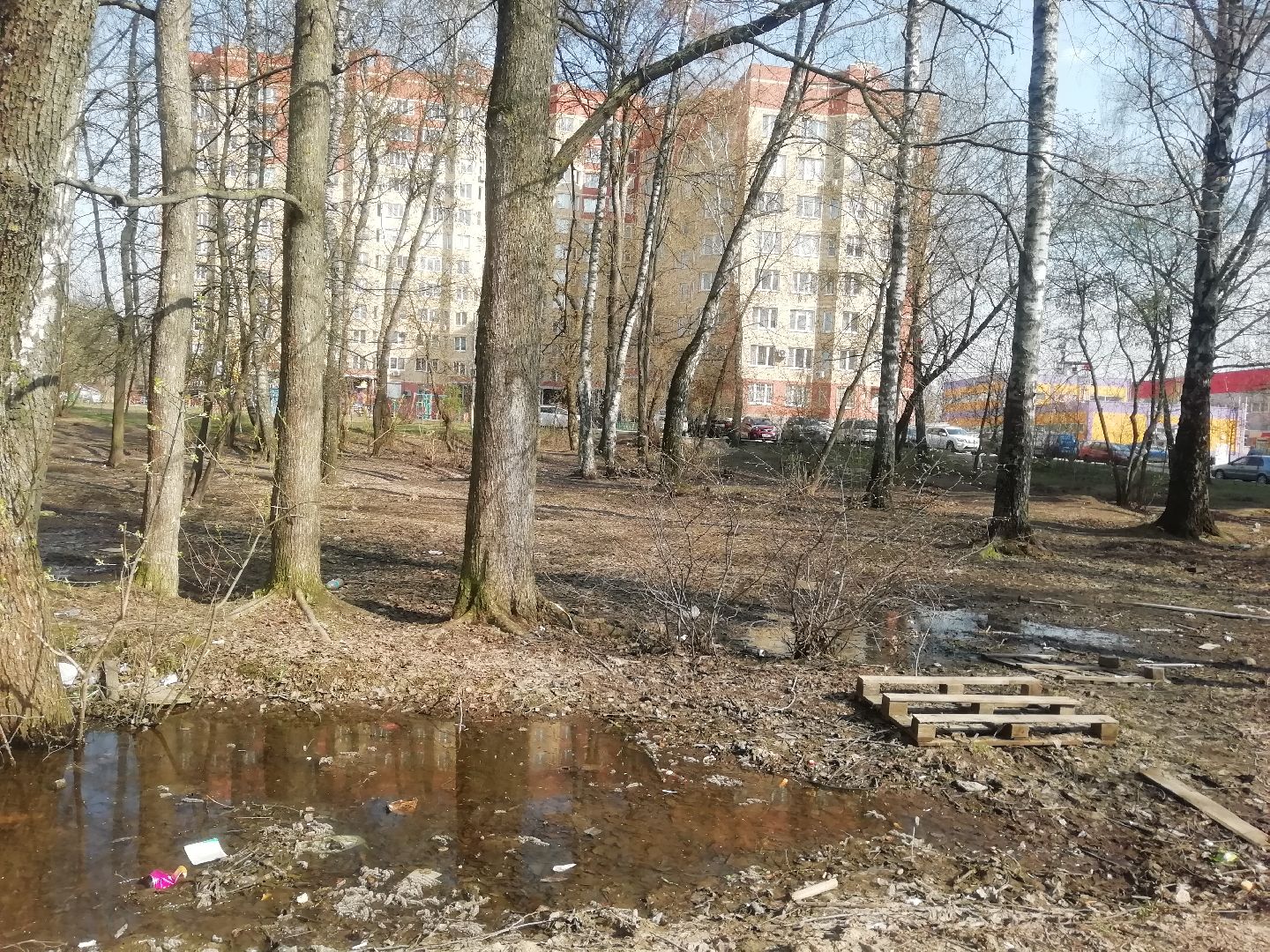 Звенигород, благоустройство, комфортная городская среда, сквер