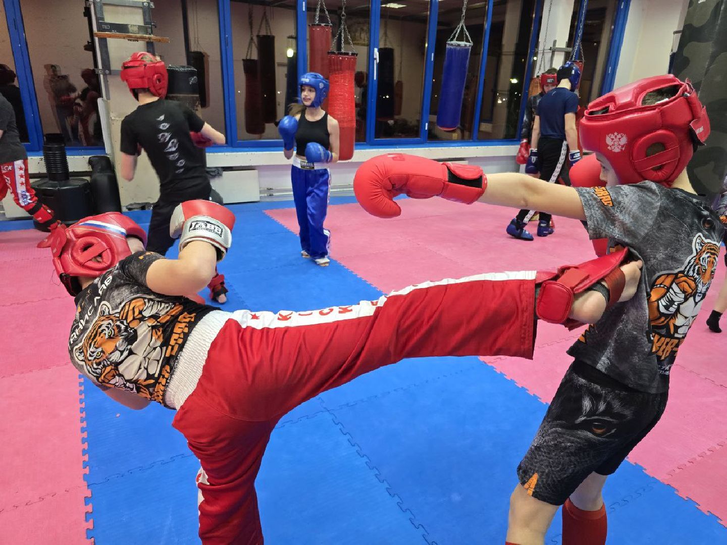 можайск, можайский муниципальный округ, подмосковье, спорт - это жизнь, спортсмены, кикбоксинг, чемпионат, первенство россии, соревнования,