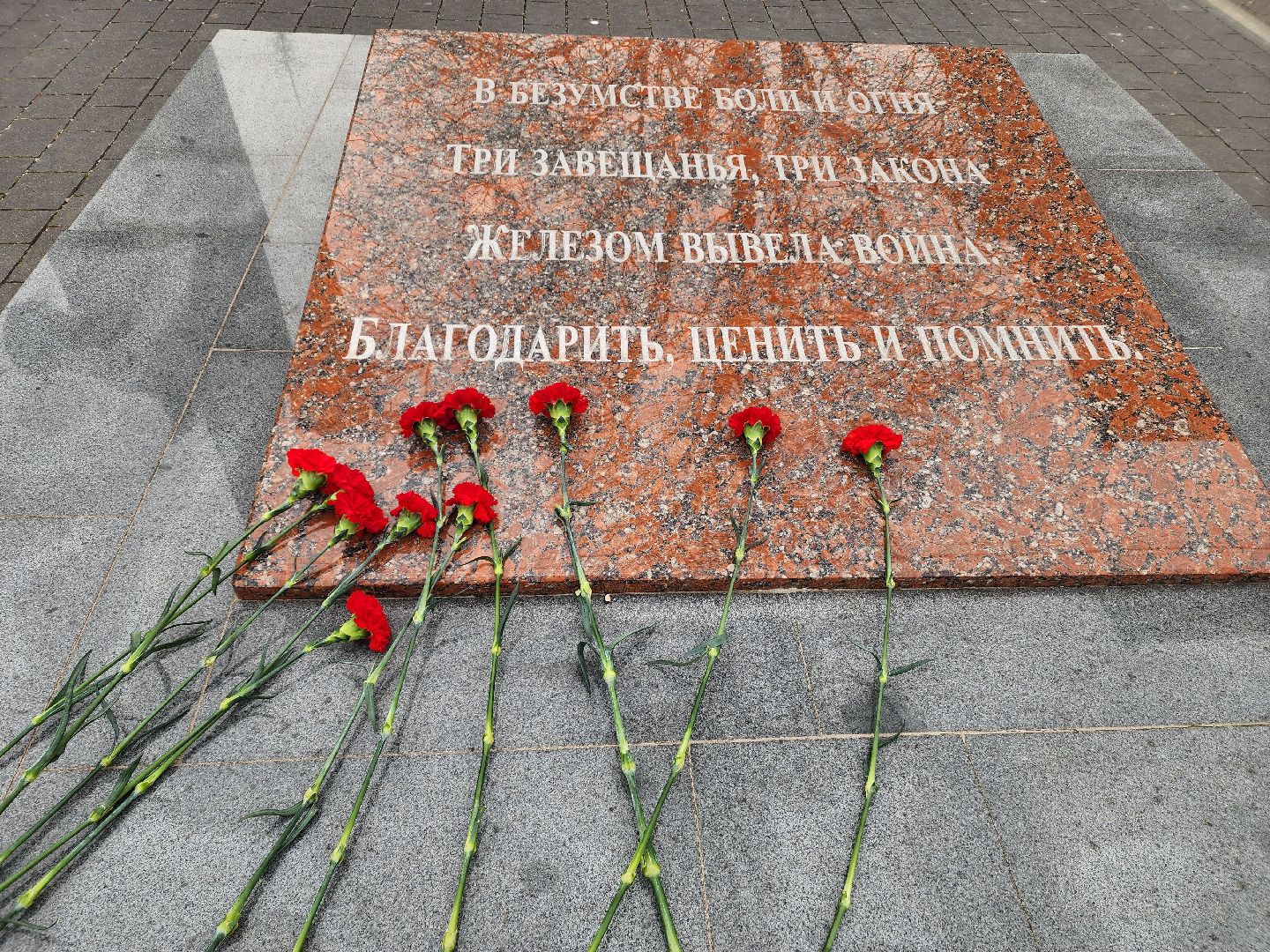 ВОВ, вов, митинг,